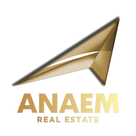 ANAEM Expert en investissement immobilier à Dubaï et business setup